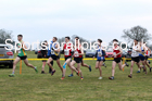Senior mens Northern Cross Country Champs., Camp Hill Estate, Kirklington.  Photo: David T. Hewitson/Sports for All Pics